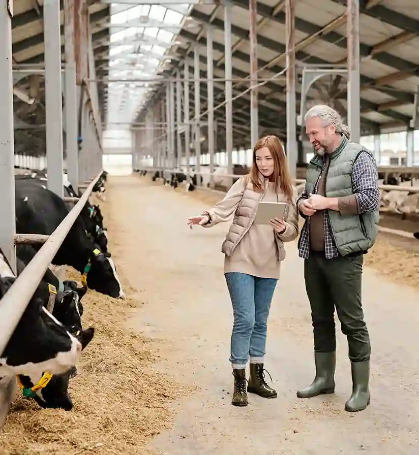 eCommerce Portal for Ranchers' Products - 02 eCommerce Portal for Ranchers' Products - 02