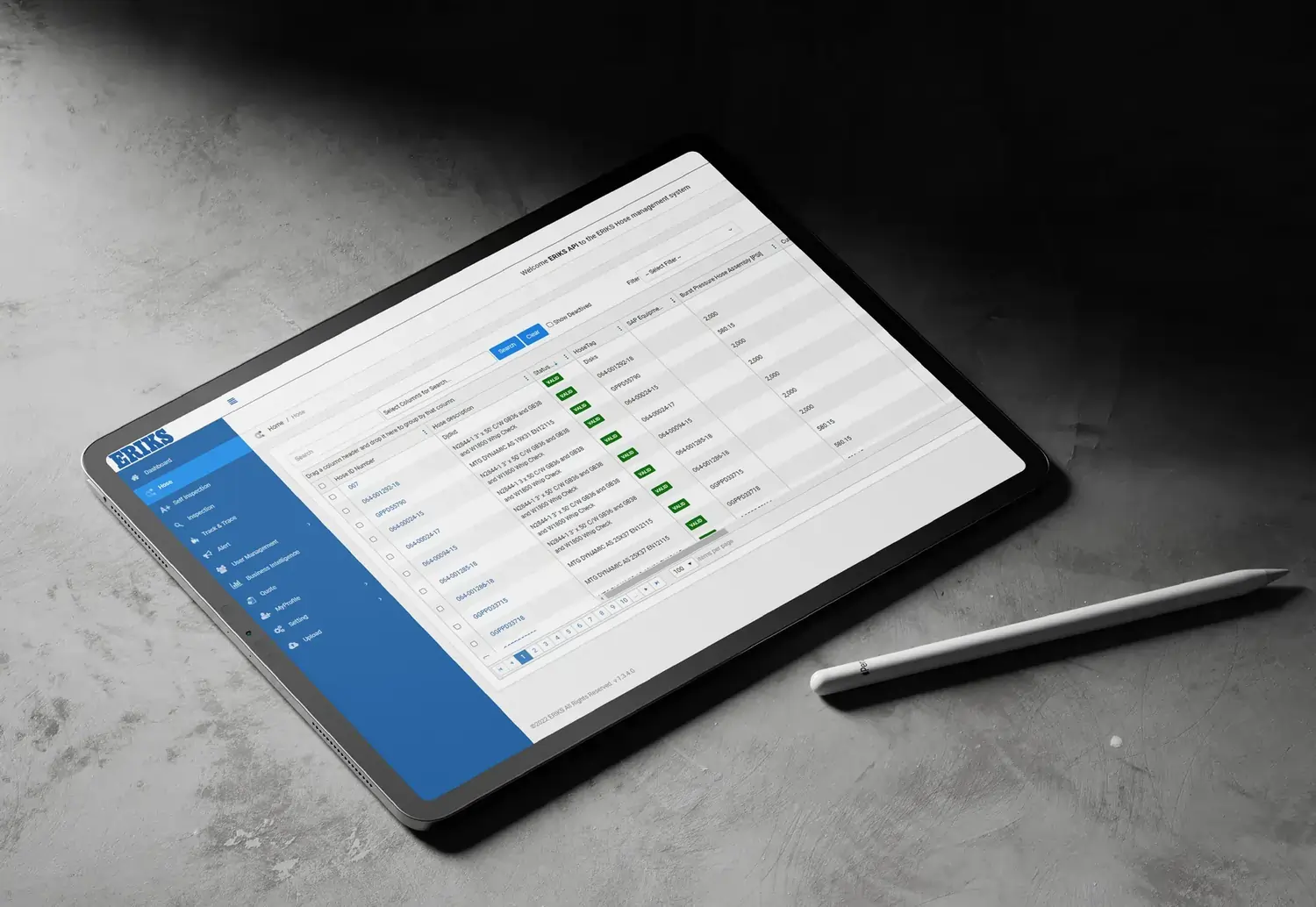 Web Portal