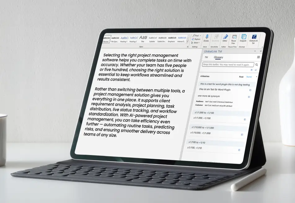 Translation Management System 10