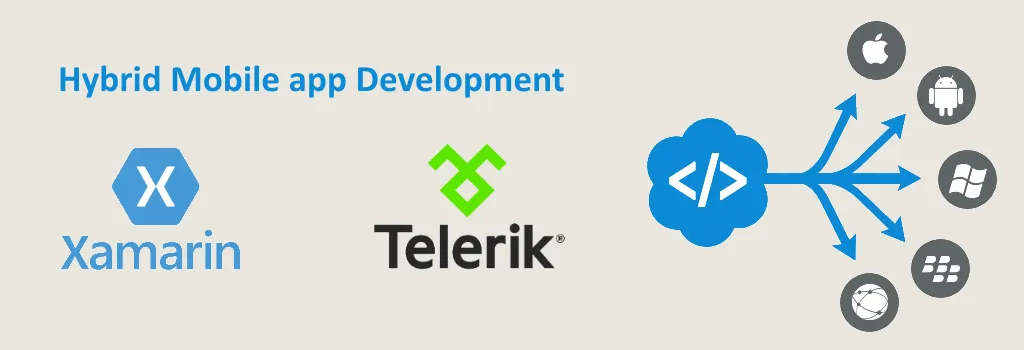 Hybrid Mobile App development Hybrid Mobile App development