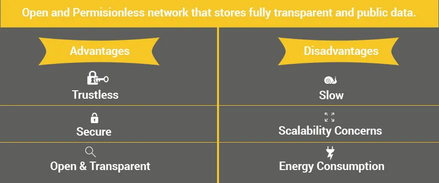 Open & Permissionless Network