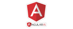 AngularJS Development