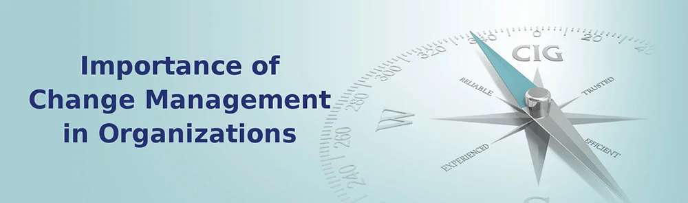 Change Management in Organizations Change Management in Organizations