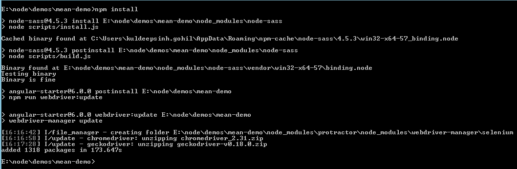 NPM Installation Example NPM Installation Example