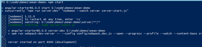 NPM Start Application NPM Start Application