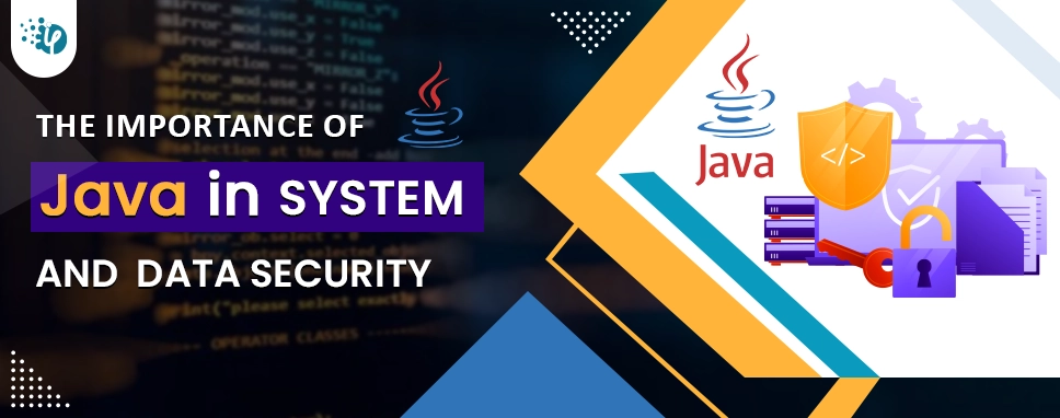 The Importance of Java in System and Data Security