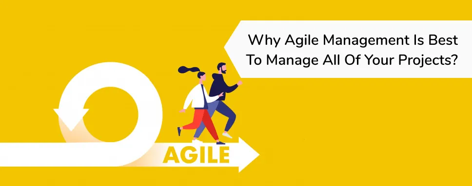 Why Agile Management is best to manage all of your Projects?